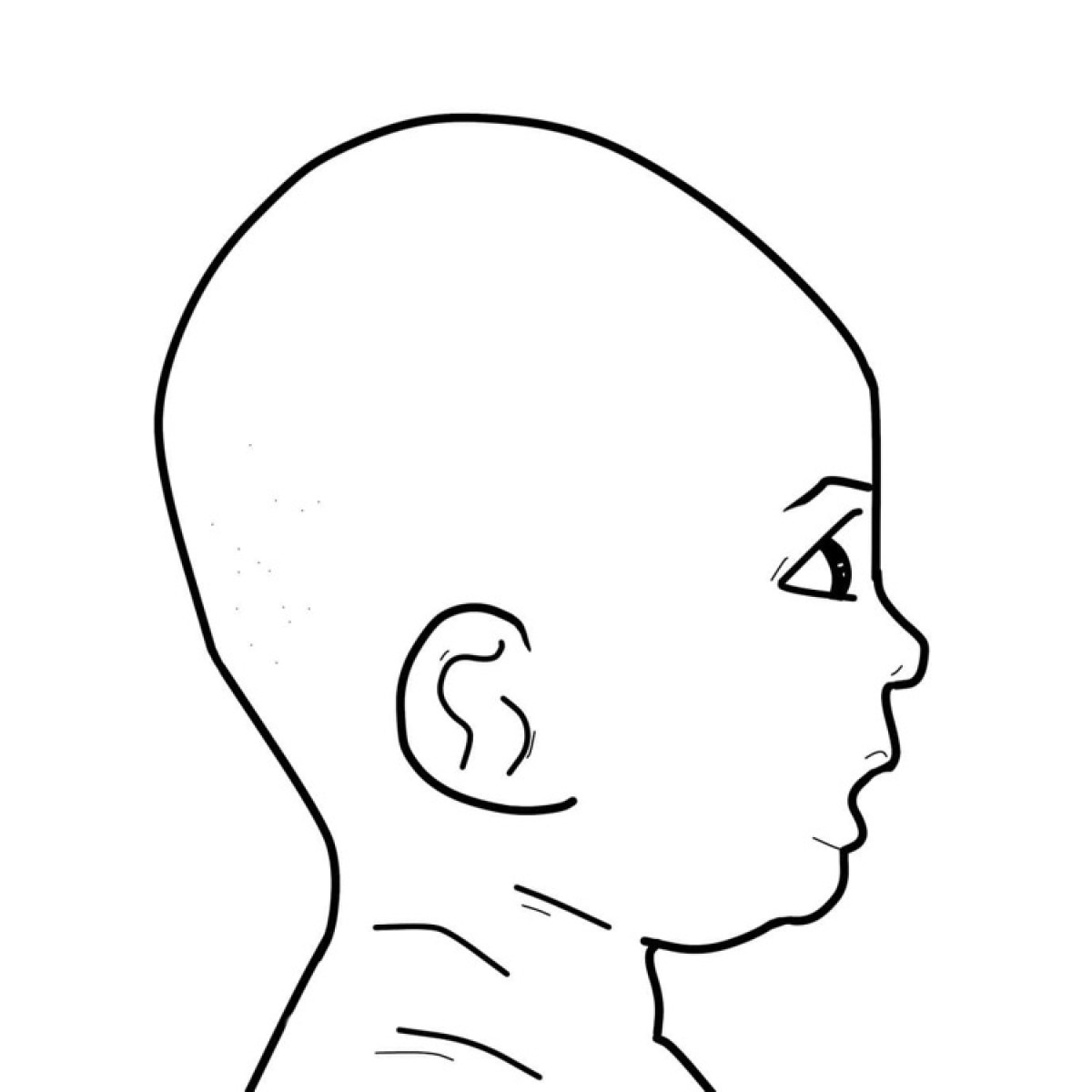 Kopfform in Turicephalia